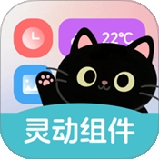 灵动皮肤小组件最新版