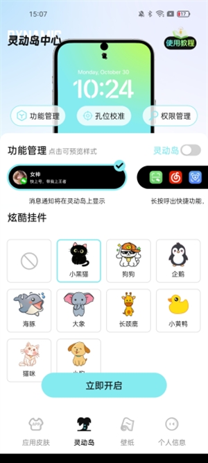 灵动皮肤小组件最新版
