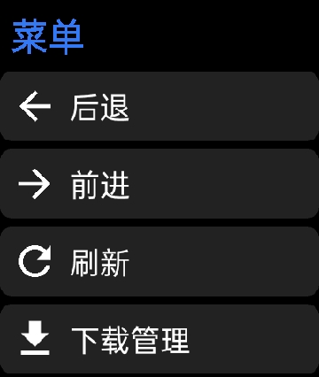 抬腕浏览器手表版apk安装包