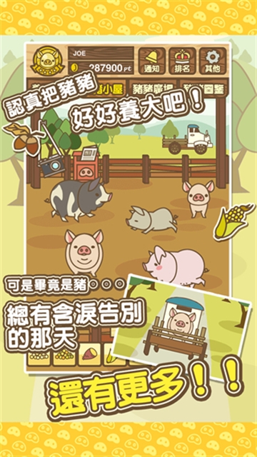 养猪场mix官方最新版