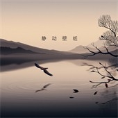 静动壁纸app官方版