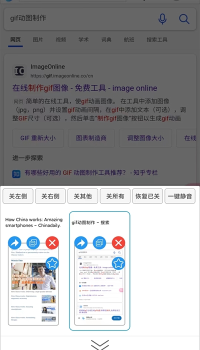 大海浏览器2025最新版本