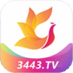 影视工场2025最新版